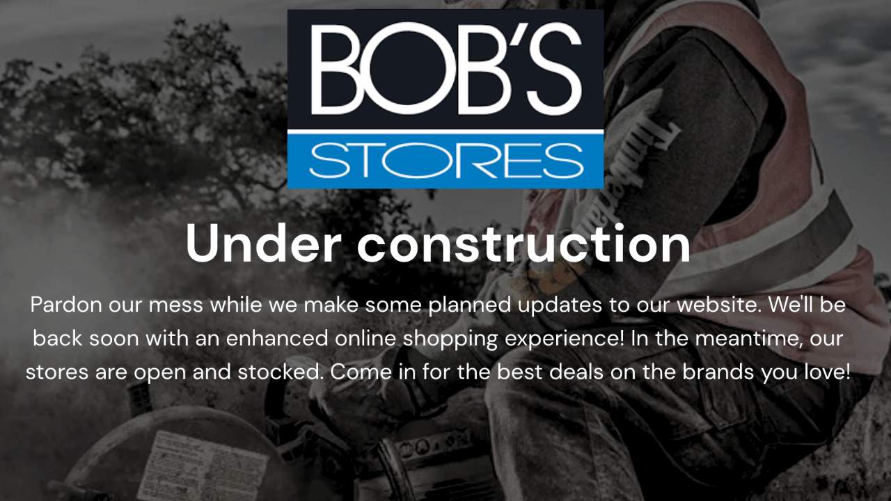 Image on Bob's Stores website